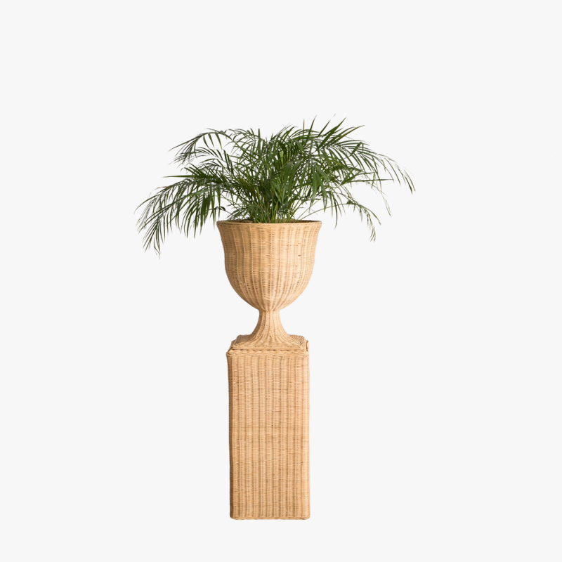 Pedestal de Ratán - M